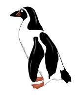 Google Penguin Update